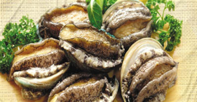 MẸO CHỌN, BẢO QUẢN VÀ CÁCH CHẾ BIẾN BÀO NGƯ NGON ĐÚNG CÁCH