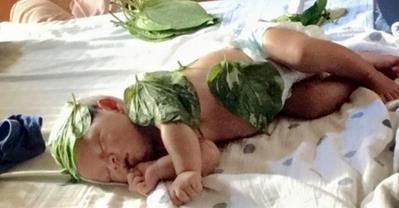 Minh Hà mách 6 công dụng của lá trầu không ít ai biết