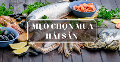 Những mẹo chọn mua hải sản tươi ngon chị em nên biết