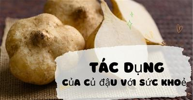 Những tác dụng của củ đậu - Ăn nhiều củ đậu có tốt không?