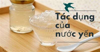 Nước yến có tác dụng gì? Nước yến và sức khỏe của bạn