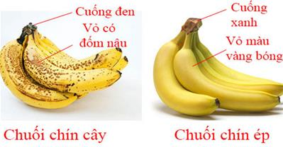 Phân biệt chuối chín tự nhiên và chuối ngâm hóa chất