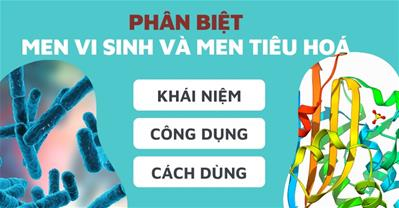 Phân biệt men vi sinh và men tiêu hoá: Bản chất, công dụng và cách dùng