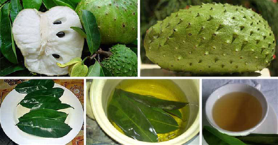 Phương thuốc điều trị ung thư hiệu quả hơn cả hóa trị