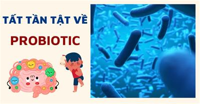 Probiotic là gì? Tất tần tật những kiến thức về probiotic cho bạn