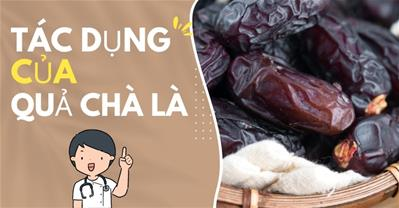 Quả chà là có tác dụng gì? Những công dụng “thần kỳ” của quả chà là