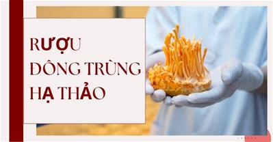 Ruou đông trùng hạ thảo: Tác dụng, cách ngâm và cách uống