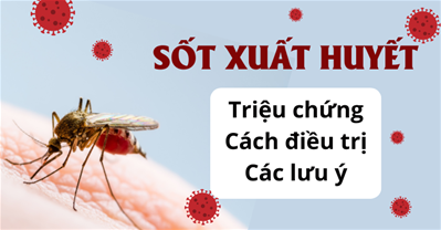 Sốt xuất huyết: Triệu chứng là gì, có gây tử vong, có lây không?