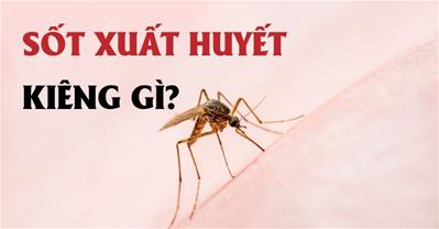 Sốt xuất huyết kiêng gì, không nên ăn gì, kiêng gió không?