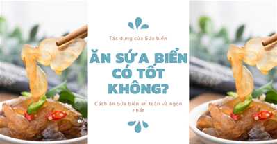SỨA BIỂN CÓ TỐT KHÔNG - TÁC DỤNG CỦA SỨA BIỂN VÀ CÁCH ĂN SỨA BIỂN AN TOÀN