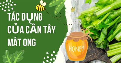 Tác dụng của cần tây mật ong: Các tác dụng và người không nên uống