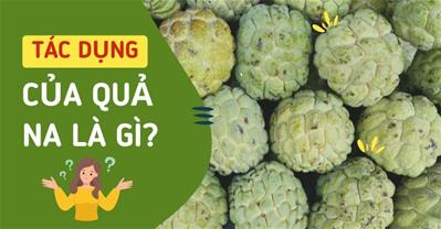 Tác dụng của quả na là gì? Na rừng có tốt hơn na thường không?
