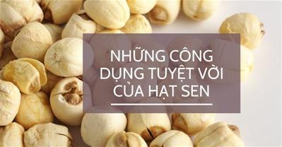 Tác dụng hạt sen: Những công dụng của hạt sen giúp bạn có sức khoẻ tốt