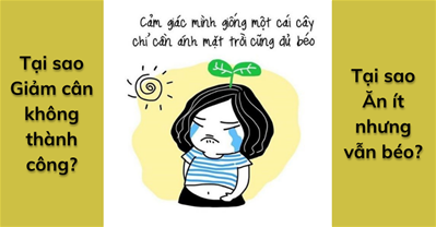 Tại sao giảm cân không thành công? Tôi ăn ít nhưng vẫn tăng cân

