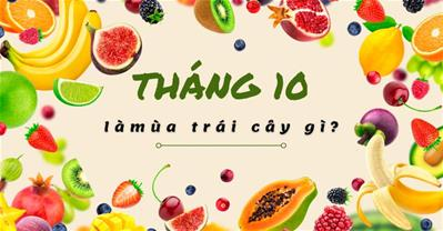 Tháng 10 là mùa trái cây gì? 8 trái cây đúng mùa KHÔNG LO thuốc trừ sâu
