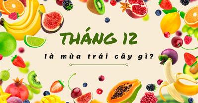 Tháng 12 là mùa trái cây gì? 5 loại quả KHÔNG HÓA CHẤT an toàn cực ngon
