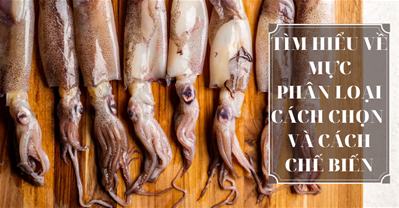 TÌM HIỂU VỀ MỰC, PHÂN LOẠI, CÁCH CHỌN, CÁCH CHẾ BIẾN
