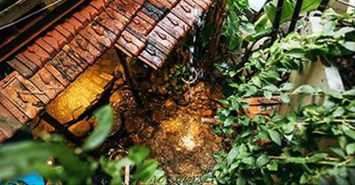 Tìm về chốn xưa với ẩm thực và không gian Ao Quán