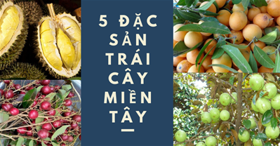 Top 5 đặc sản trái cây miền Tây lạ và ngon khó cưỡng