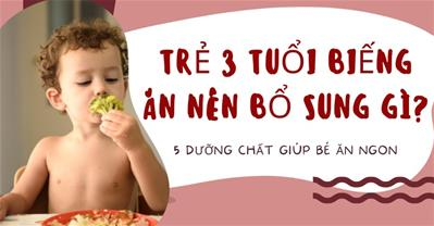 Trẻ 3 tuổi biếng ăn nên bổ sung gì? Cha mẹ bổ sung ngay cho bé các chất sau