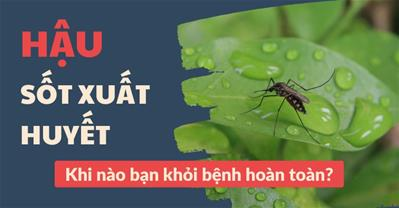 Triệu chứng sau sốt xuất huyết là gì? Khi nào bạn khỏi hoàn toàn?