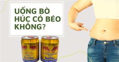 Uống bò húc có béo không? Những ảnh hưởng của bò húc đến sức khoẻ