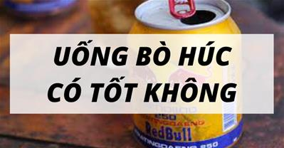 Uống bò húc có tốt không? CẢNH BÁO những rủi ro sức khỏe khi uống bò húc