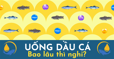 Uống dầu cá có tác dụng gì? Uống dầu cá bao lâu thì nghỉ? 
