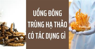 Uống đông trùng hạ thảo có tác dụng gì? - Lựa chọn hoàn hảo cho sức khỏe