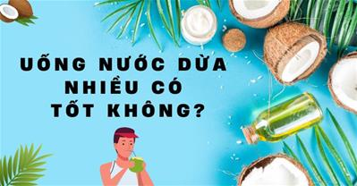 Uống nước dừa nhiều có tốt không? Nước dừa có thay thế nước lọc được không?