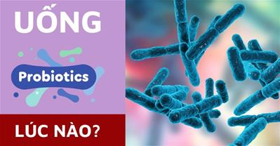 Uống probiotic lúc nào? Thời điểm vàng để bổ sung probiotic cho trẻ