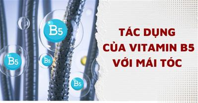 Vitamin b5 có tác dụng gì cho tóc và da, cách bổ sung vitamin B5