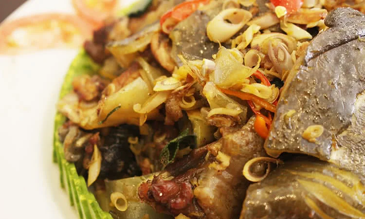 ba-ba-ao-que-nguyen-chi-thanh-5