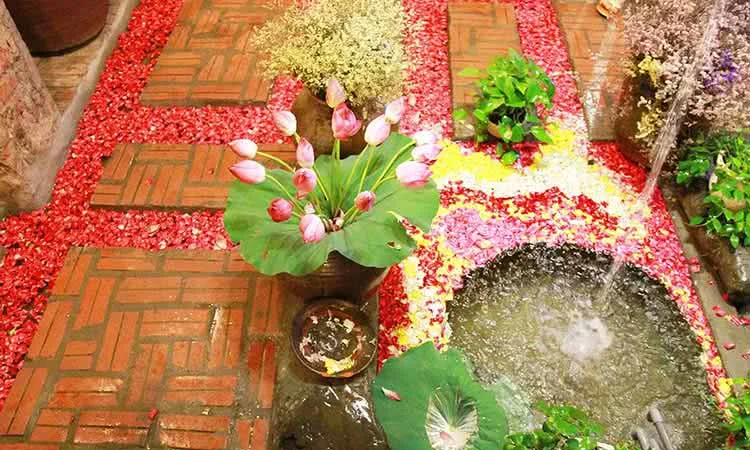 bo-to-quan-moc-huong-vi-bo-to-thom-ngon-dung-chat-8