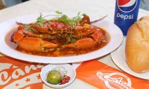 cua-1-cang-29-kinh-duong-vuong-4