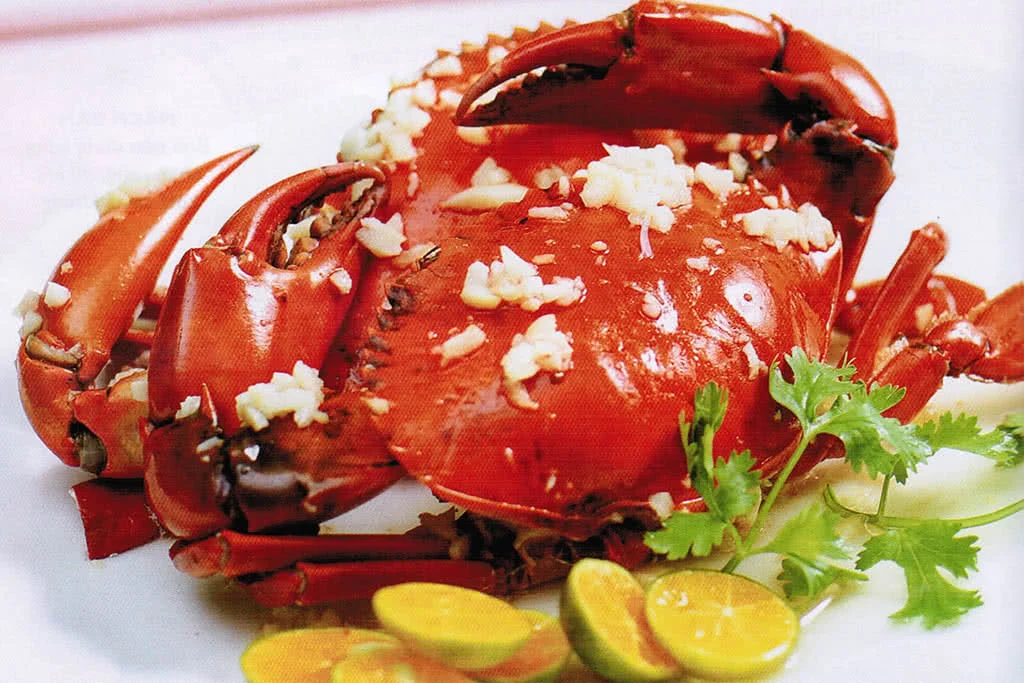 dai-kim-son-mang-ca-dai-duong-den-thanh-pho-cua-ban-5