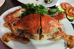 gold-hai-san-ca-huong-vi-dai-duong-8