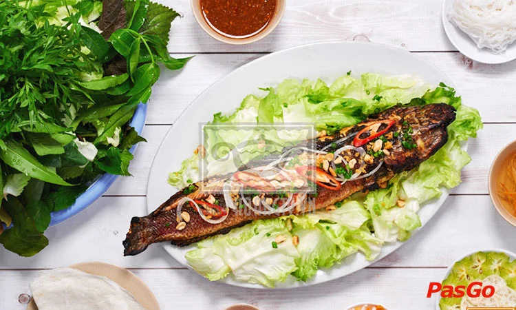 hoang-ty-hoa-mai-slide-5