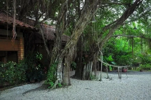 khu-du-lich-binh-quoi-1-13a