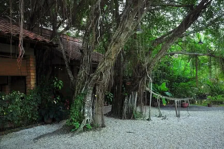 khu-du-lich-binh-quoi-1-13a