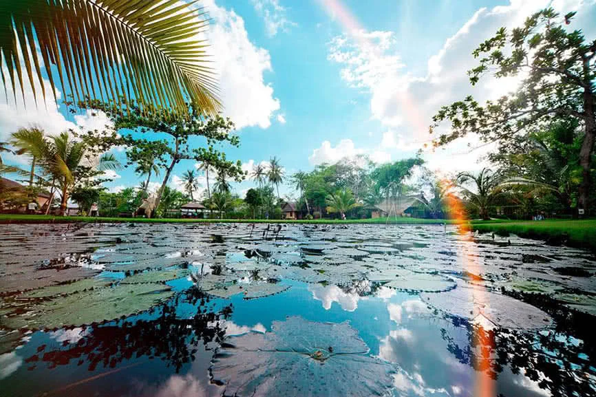 khu-du-lich-binh-quoi-2-6a