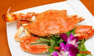 new-sky-restaurant-pham-van-dong-slide-2