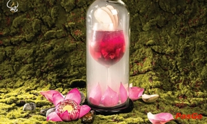 Nhà hàng Ẩm Thực Chay Tuệ Mai Thị Lựu không gian độc đáo chuyên món chay 5