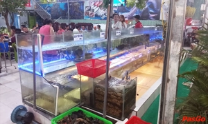 nha-hang-cho-hai-san-nguyen-thi-dang-3