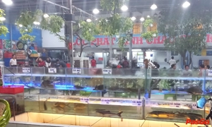 nha-hang-cho-hai-san-nguyen-thi-dang-4