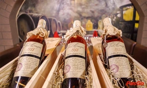 IL Vino Hầm rượu vang lớn nhất Hà Nội 1