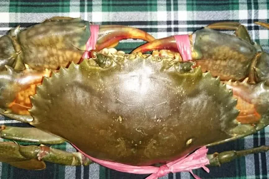 nha-hang-lau-cua-dat-mui-mon-an-2a