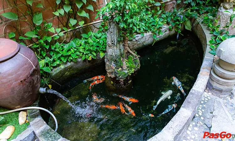 Vườn nhậu Trần Khát Chân 6