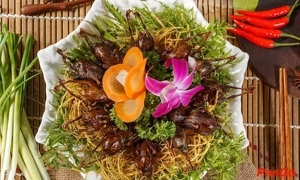 Nha-hang-quy-co-nguyen-huy-tuong-4