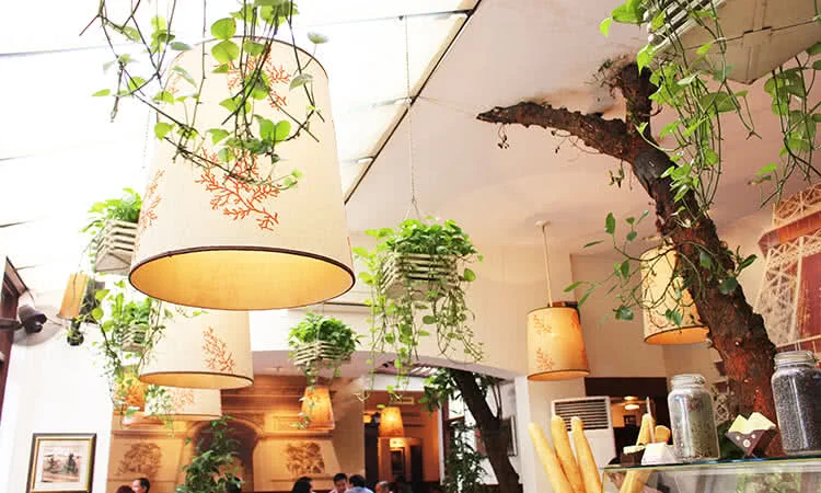 paris-deli-phan-chu-trinh-lat-cat-paris-hao-hoa-giua-long-ha-noi-11